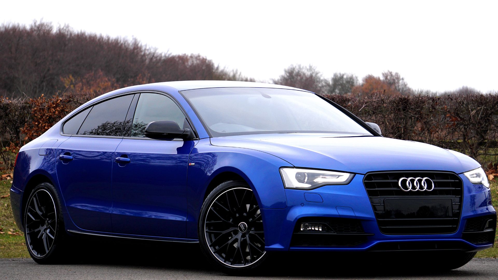 audi repair services